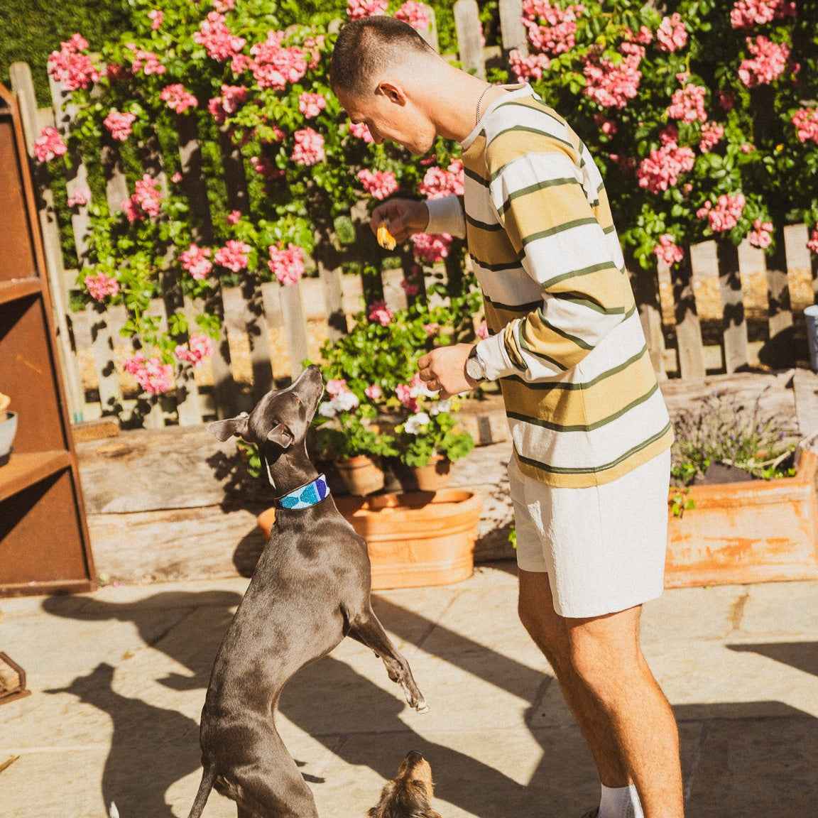 Barley Stripe Long Sleeve T-Shirt