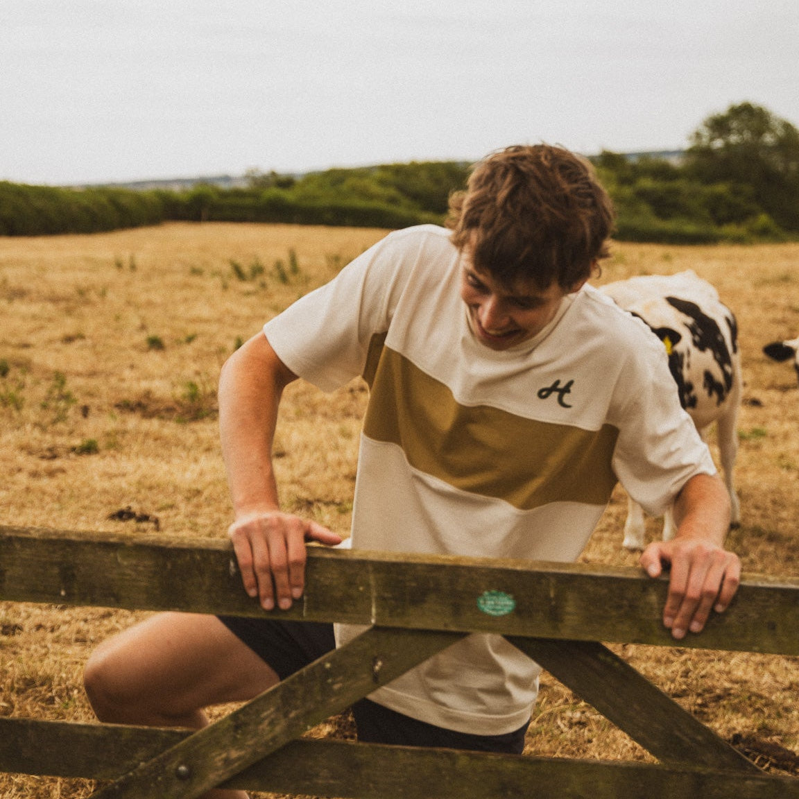 Cloud White and Barley stripe Running T-Shirt